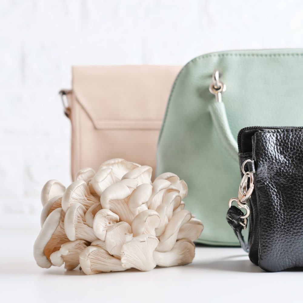 handbags made of mycelium leather, bio based sustainable alternative to leather made of mushroom spores and plant fibres. mushroom textile innovative materials. eco bio-gradable vegan leather